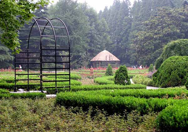 Fuxing Park Pictures | China Pictures