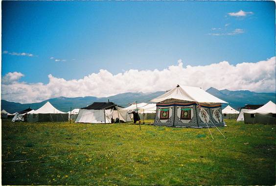 Sky, Grassland and Hourse