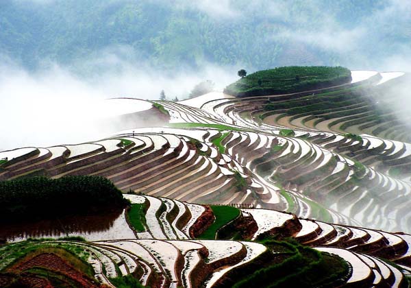 Longji China, Longji Travel, Longji Tour