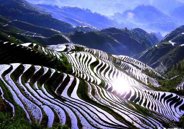 Longji China Pictures, China Pictures, China Travel