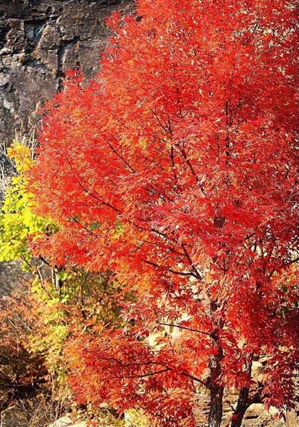 benxi-wunu-mountain-tour