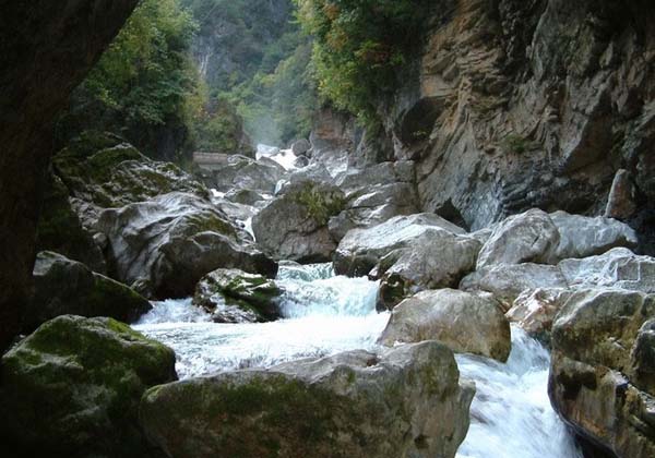 hubei-shennongjia-national-forest-park
