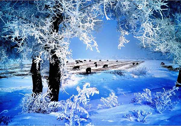 China Pictures of Jilin Wusong Island