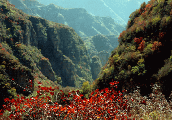 China Pictures of Wolong Natural Reserve in Aba