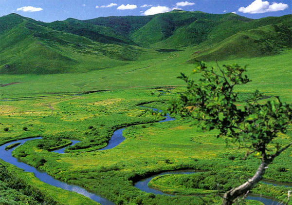 hohhot hasuhai tours hohhot hasuhai tours
