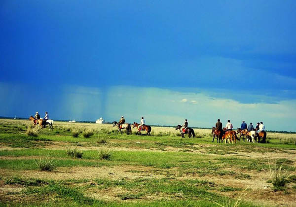 Zhangbei Bashang Grassland in Zhangjiakou