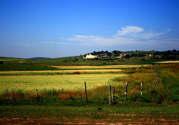 china-pictures-of-mulanweichang china-pictures-of-mulanweichang