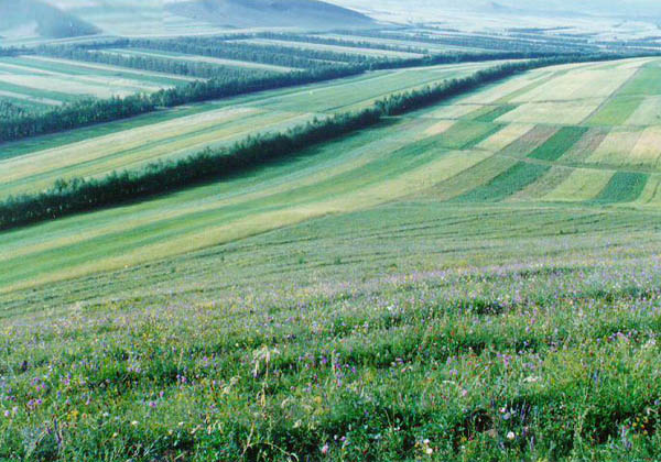 keihoku-grassland keihoku-grassland