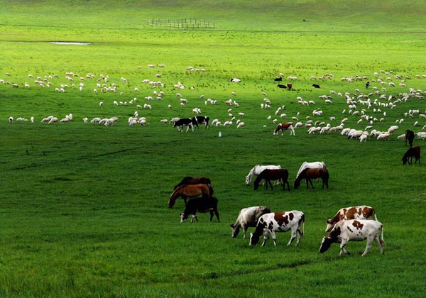 mulanweichang-travel-pictures mulanweichang-travel-pictures