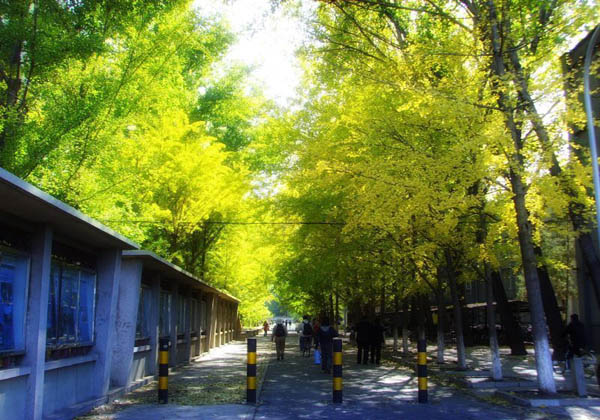 china-pictures-of-chanlinsi-landscape-gardening, china travel china-pictures-of-chanlinsi-landscape-gardening, china travel
